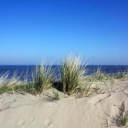 Bungalowpark T Lappennest Nyaraló Noordwijk